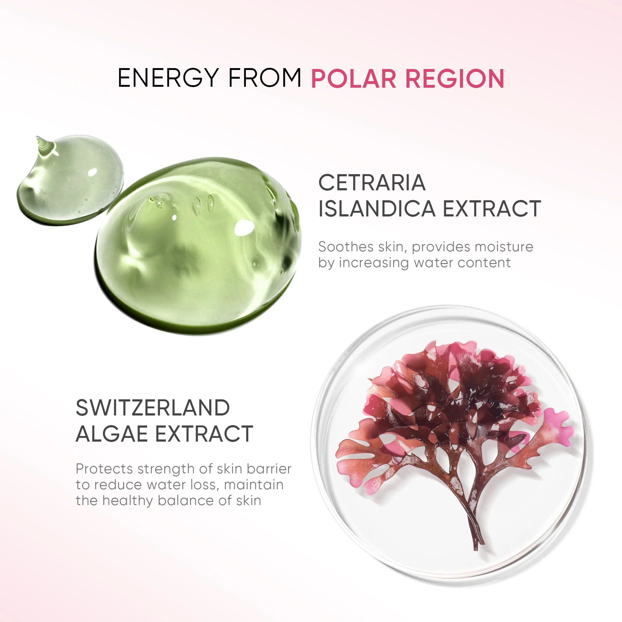 Zero Oil Cleansing Balm Makeup Remover - Image 5